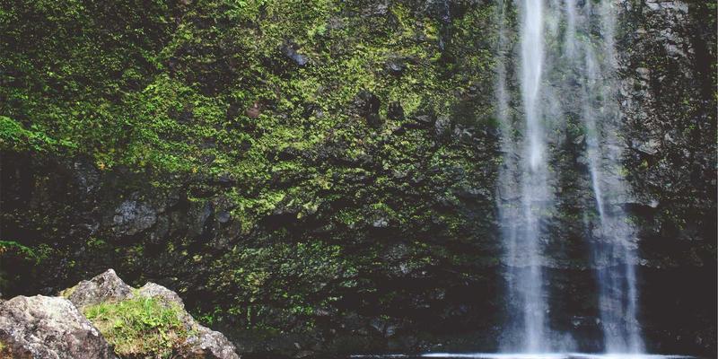 券商财富管理转型：从通道业务到资产配置顾问的服务模式变革