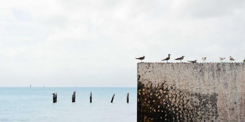 国信百年:专业财富管理与资产管理的时代价值与实践路径