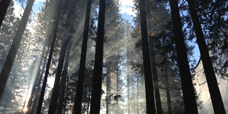 国信百年视角：保险金信托如何实现人身保障与财富传承的双重价值