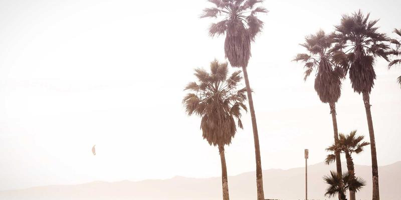 国信百年视角：解析金融服务中的消费者权益保护法律框架与纠纷解决机制