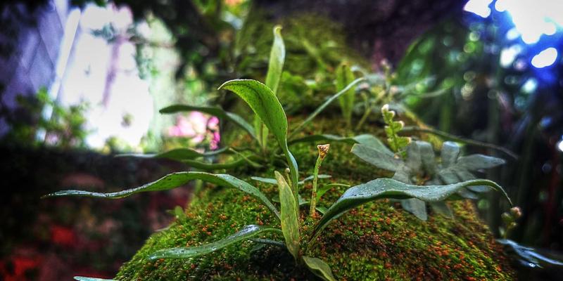 国信百年解读：绿色债券投资指南——把握政策红利下的“双碳”金融机遇