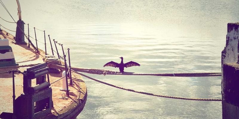 国信百年资产管理：专业投资理财攻略，助您实现财富稳健增值