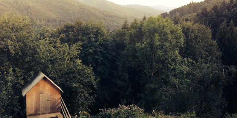 国信百年资产管理新视野：艺术品与加密货币等另类投资的配置价值分析