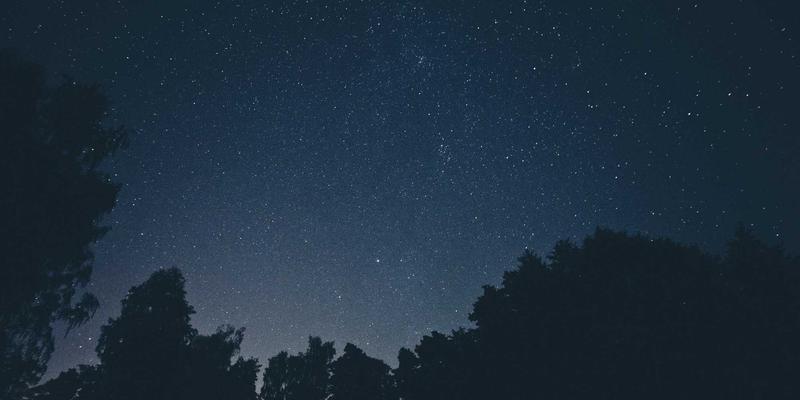 数字化时代的金融消费者权益保护：在财富管理与资产管理中识别风险与捍卫权利