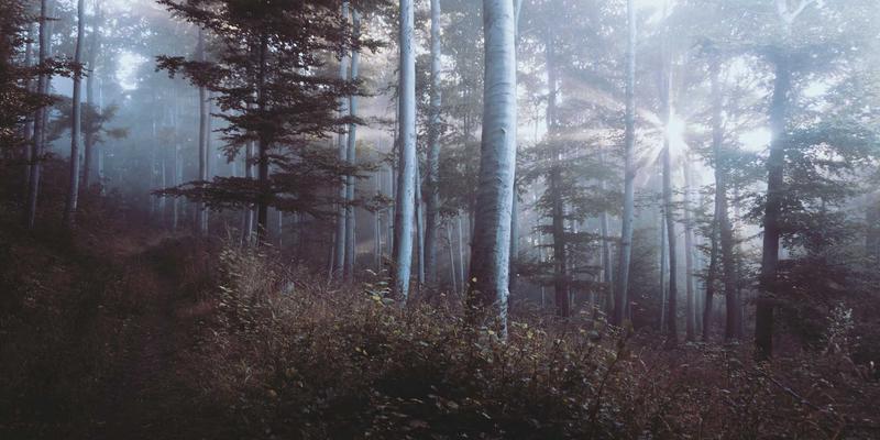 注册制改革下，个人投资者如何把握科创板打新机遇？国信百年谈资产管理新策略