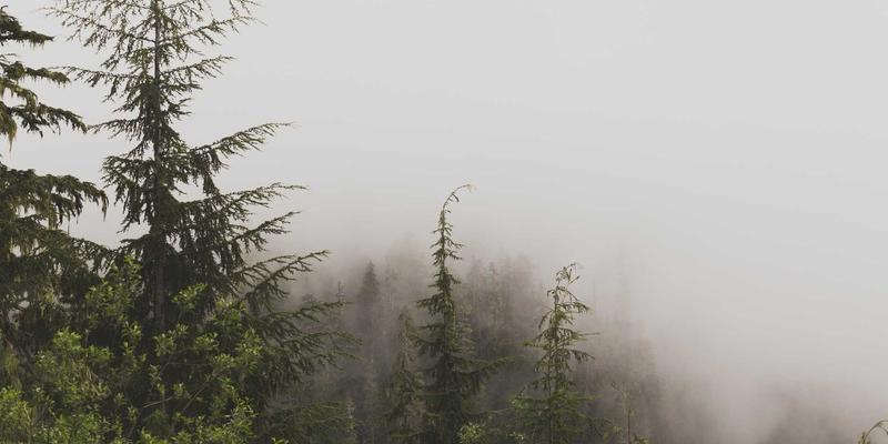 绿色债券投资全解析：资产管理视角下的“洗绿”风险识别与环境效益评估