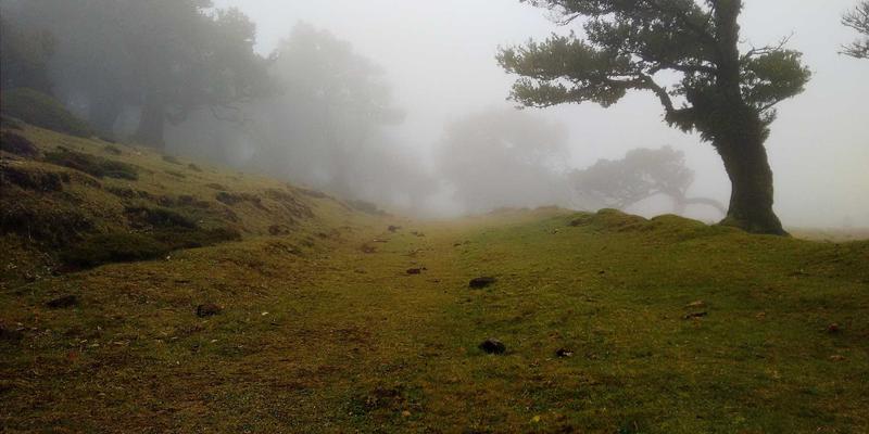 艺术品金融化浪潮：国信百年解析估值体系与拍卖市场流动性新机遇