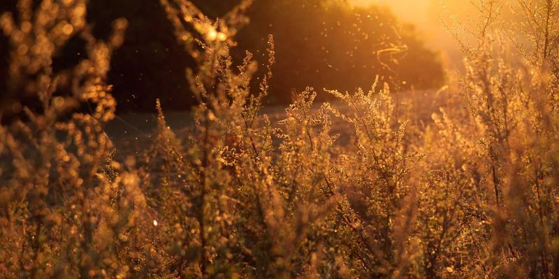 资产管理新纪元：国信百年视角下的金融数据治理与合规平衡之道