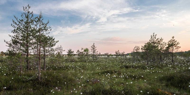 资产管理、财富管理与金融服务：三大趋势重塑行业未来