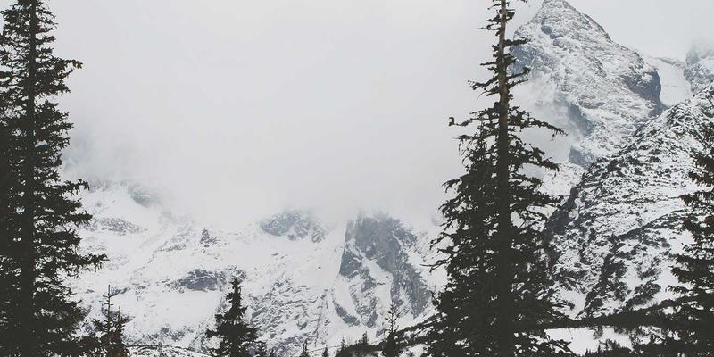 跨境支付全攻略：解析流程、费用与常见问题，国信百年资产管理视角下的金融服务