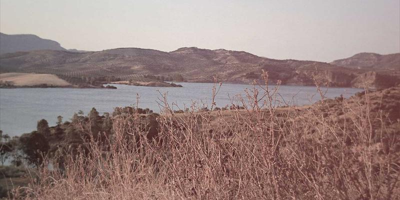 金融租赁：连接财富管理与产业升级的智慧融资工具